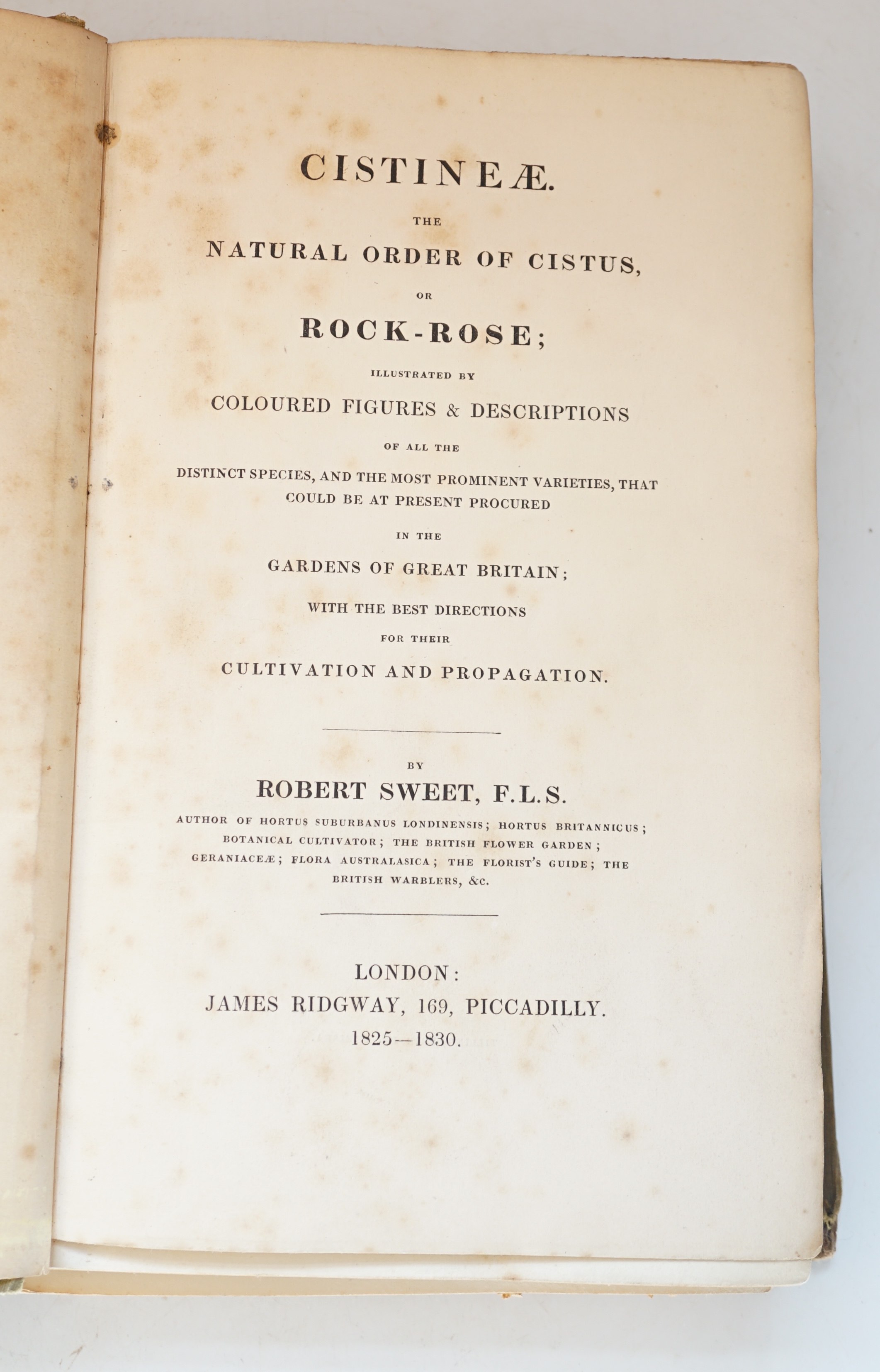 Robert, Sweet - Cistinae. The natural order of Cistus, or Rock-Rose; illustrated by coloured figures and descriptions …, 112 hand-coloured engraved plates, 8vo, green blindstamped cloth, spine detached, almost disbound,